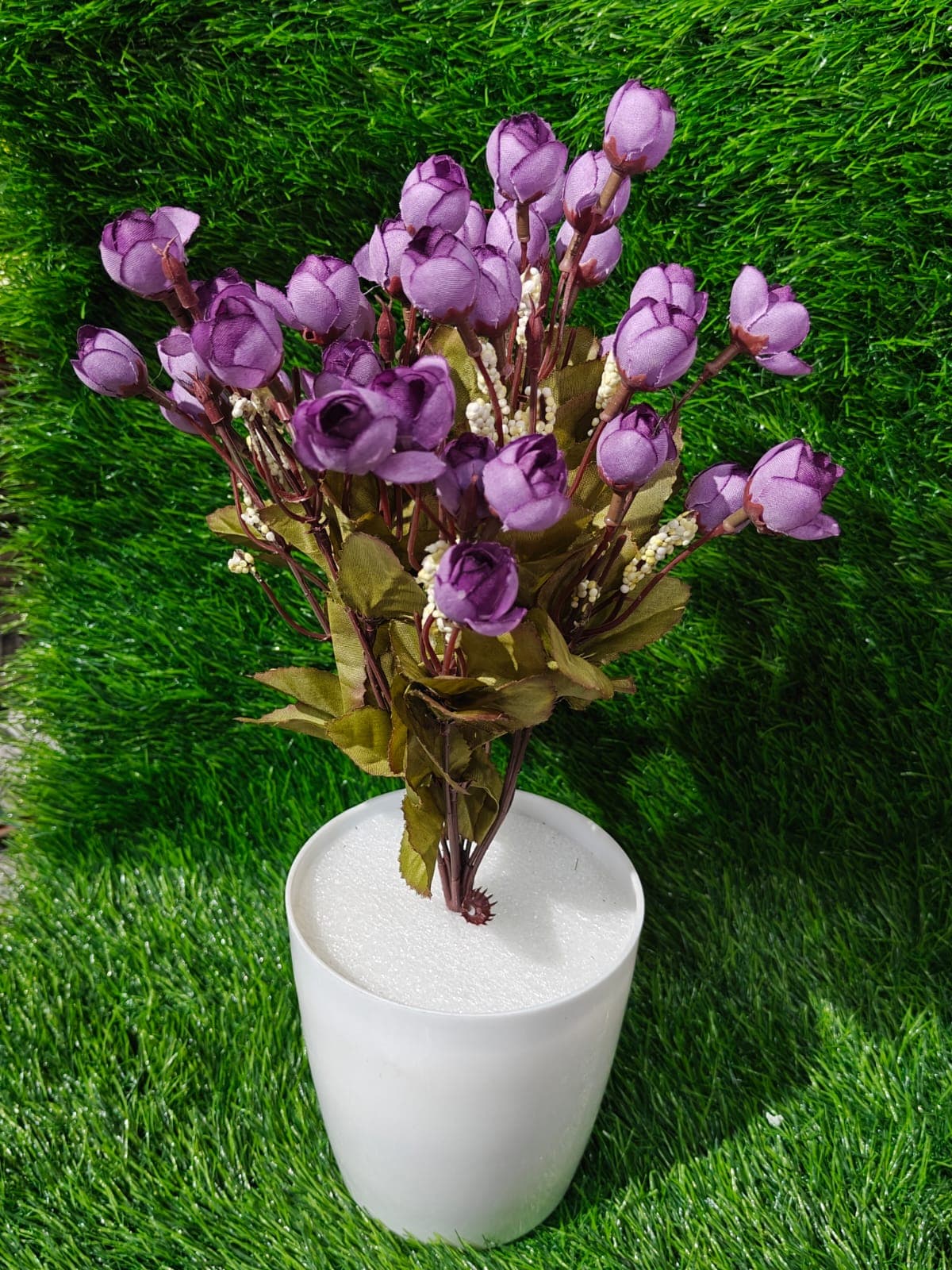 Purple Rose Bud Bush