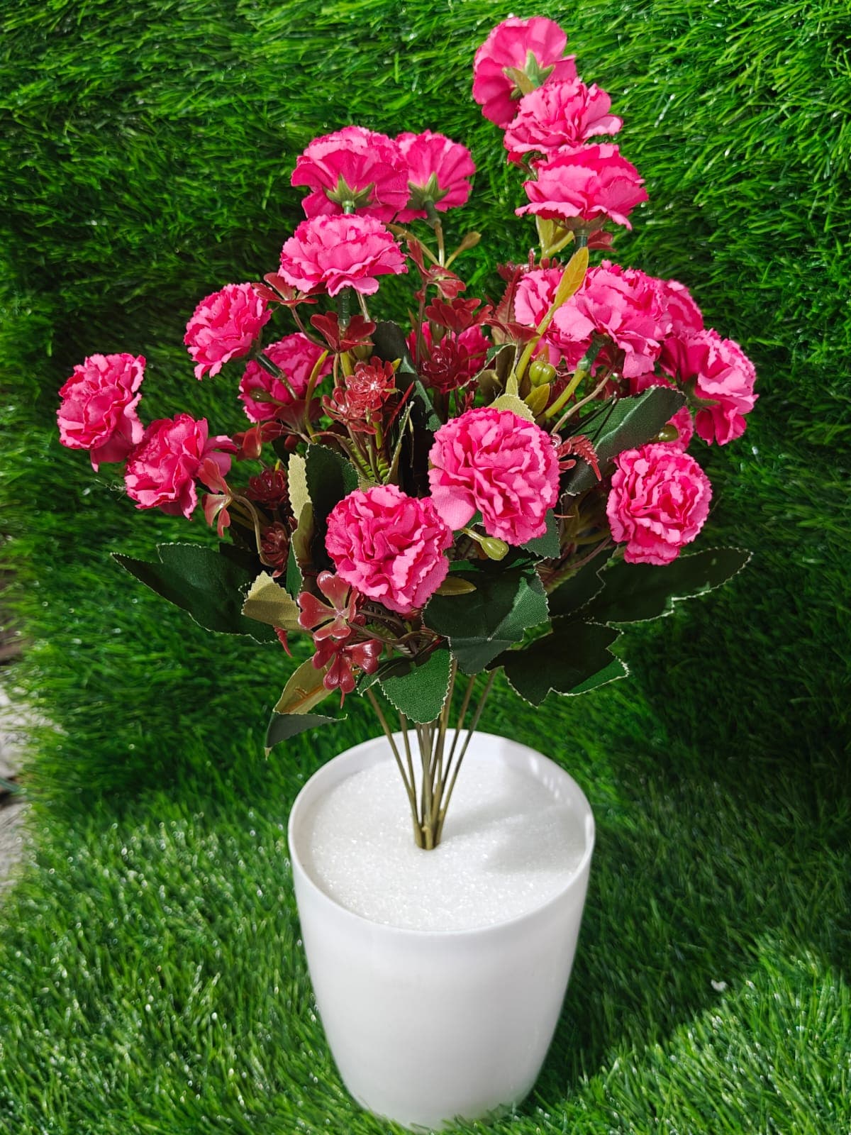 Pink Carnation Bush