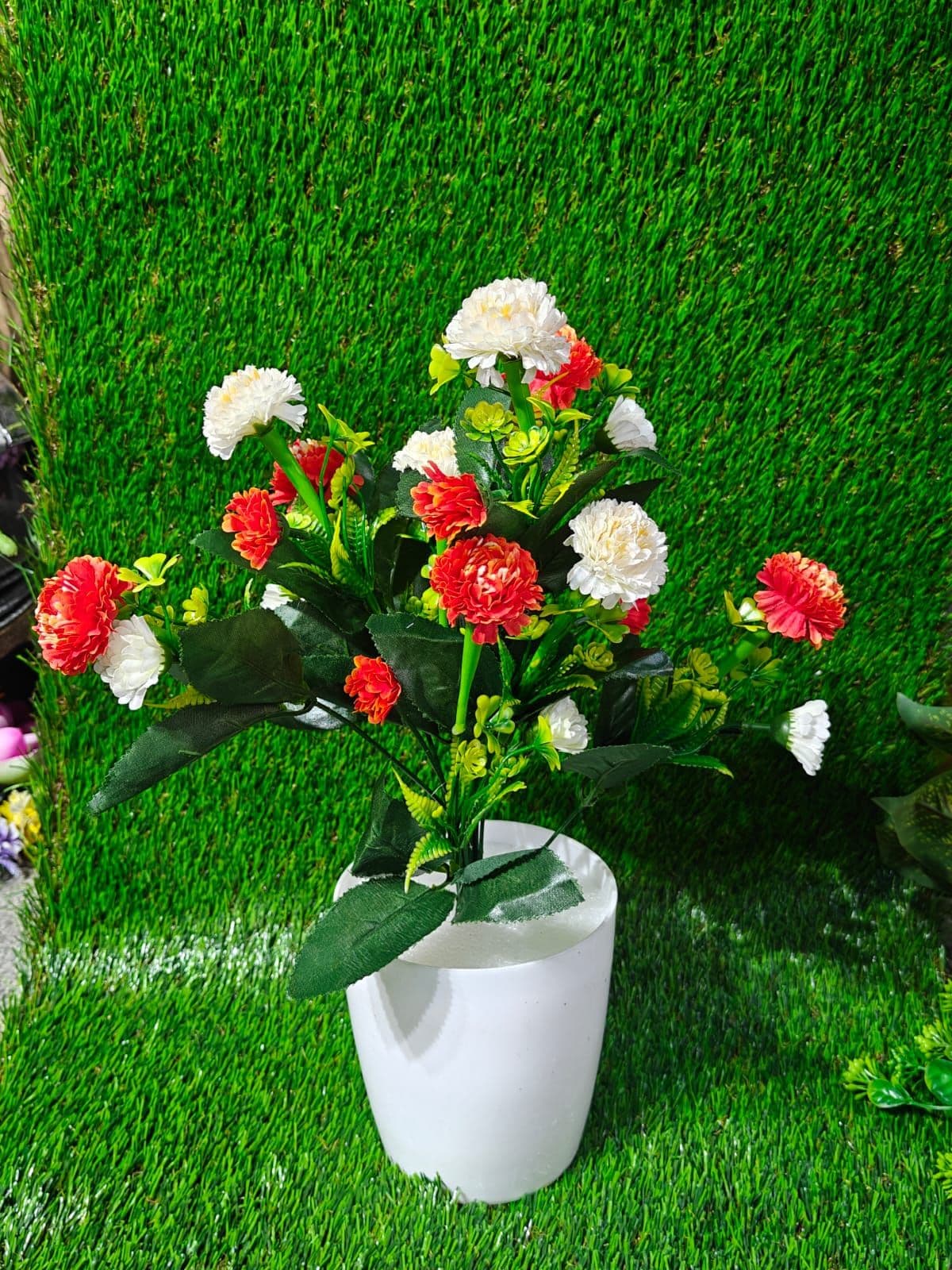 Red and White Daisy Bush